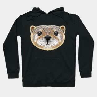 Otter with funny face classic Hoodie